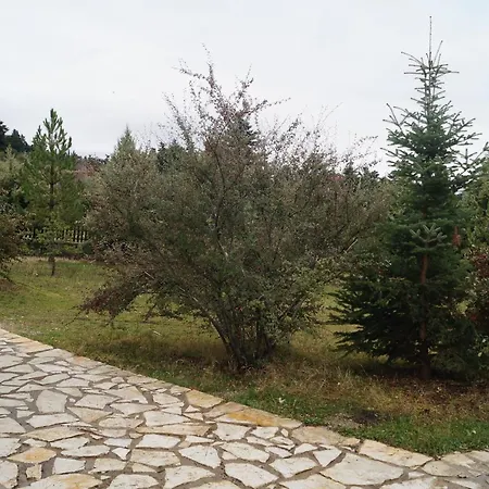 Parnassos